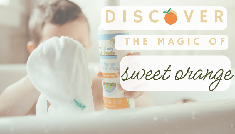 Discover the Magic of Sweet Orange